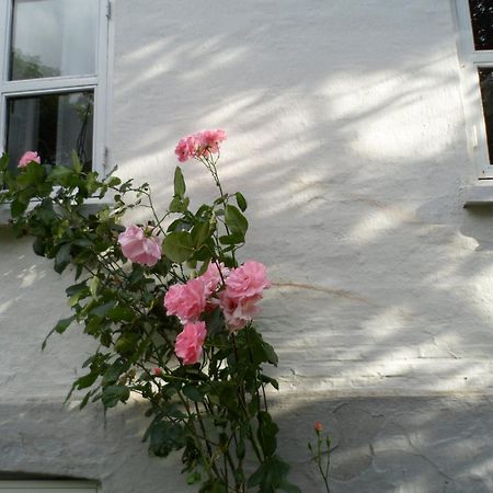 Boiesminde Appartement Vamdrup Buitenkant foto