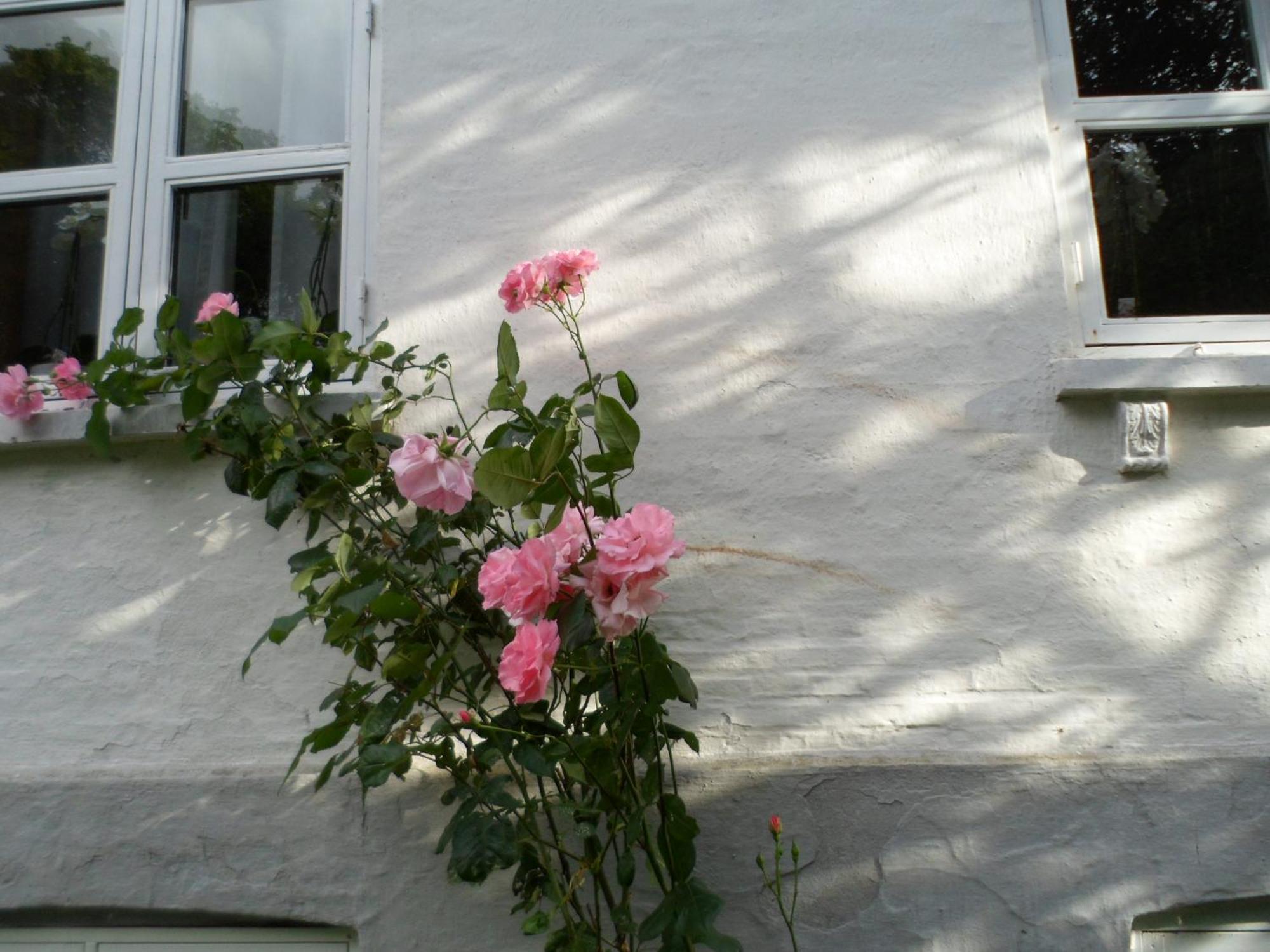 Boiesminde Appartement Vamdrup Buitenkant foto